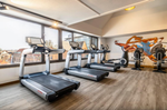 Fitnesz