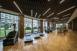Fitnesz