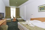 Hotel Mena Palace