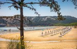 Hotel San Marino Sunny Resort by Valamar - Plaza Sunny
