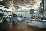 Hotel Impressive Premium Punta Cana