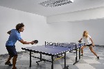 Pingpong