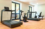 Fitnesz