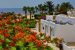 Hotel Sharm Club Beach Resort