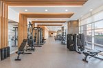 Fitnesz