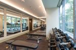 Fitnesz