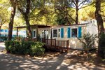 Hotel Camping Cavallino