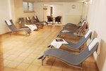 Wellness