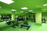 Fitnesz