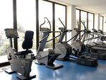 Fitnesz