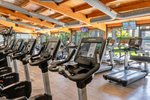 Fitnesz