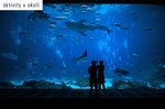 Hotel Blue Sea Mediodia
