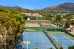 Mező