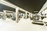 Fitnesz