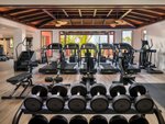 Fitnesz