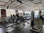 Fitnesz
