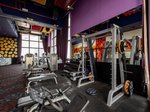Fitnesz