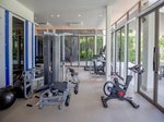 Fitnesz
