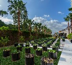 Hotel LIBERTY GOLF & RESORT KUSADASI