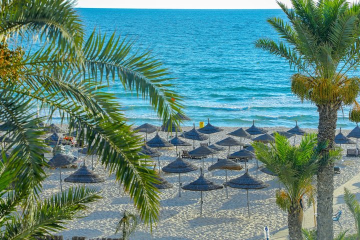 Riadh Palms – fotka 5
